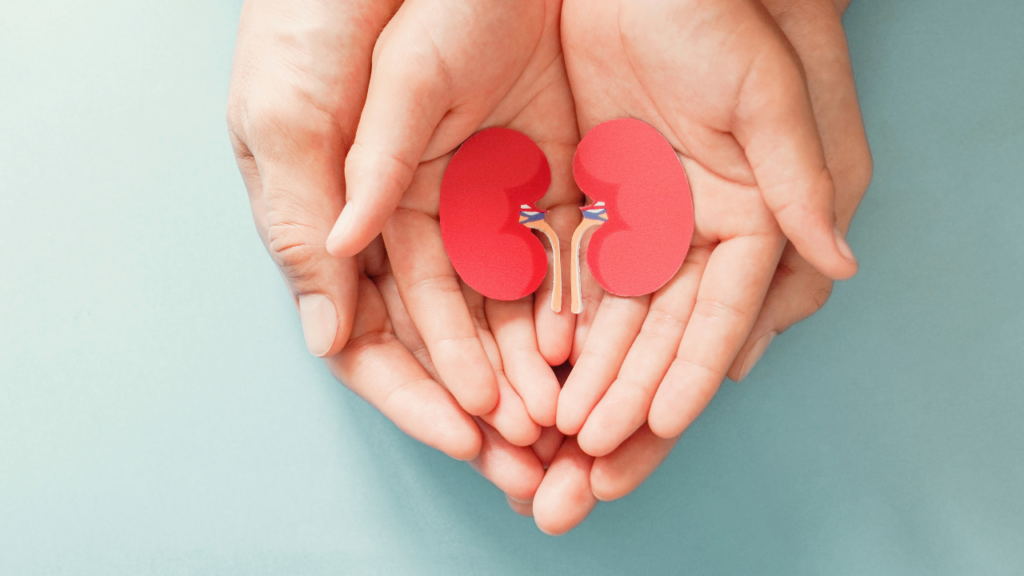Kidney support education programs
